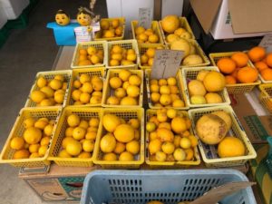 生月島の商店で売られているレモン